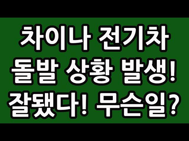 차이나 전기차 SOLACTIVE 주식 주가 전망 타이거 TIGER 중국 ETF 비야디 테슬라 니콜라 루시드 엔비디아 아이온큐 TQQQ SOXL TMF 이거 잘됐네!