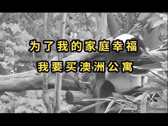 为什么我劝你别买澳洲公寓 | 但是我自己却入坑