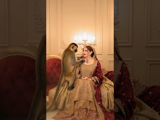 Neelam Muneer Walima Video with new pet #newvideo #weddingvideo #monkey  #romantic