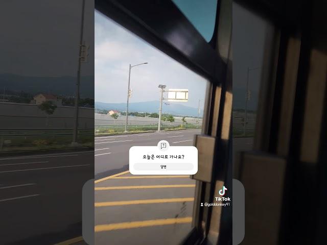 제주여행. 오늘은 어디가나요? #shorts #토르기사