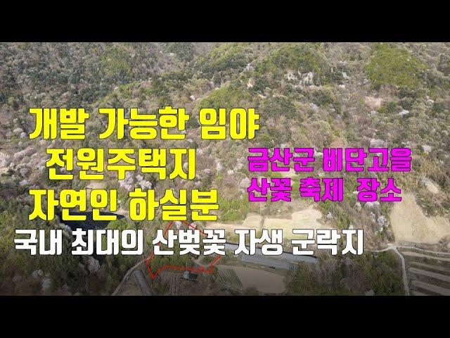 매물309번. 금산군 군북면 국내 최대의 산벚꽃 자생 군락지 임야 전원주택지 자연인 토지로 좋음