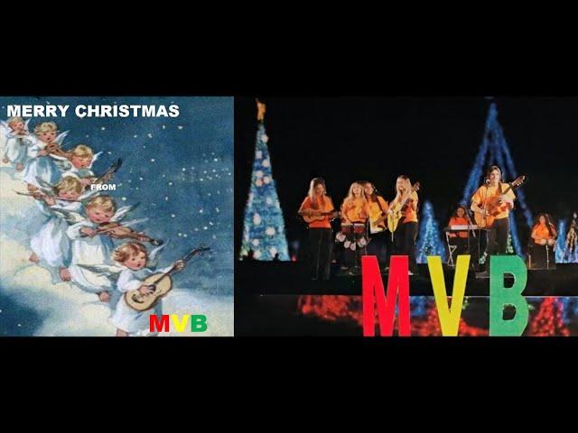 MERRY CHRISTMAS FROM MVB (Mario Victory Band)