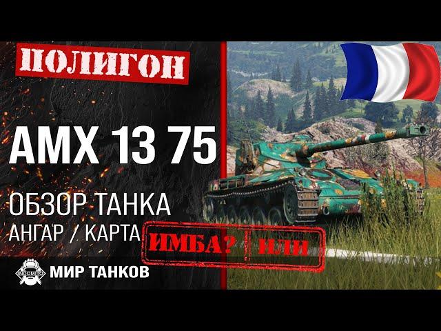 AMX 13 75 review guide light tank France