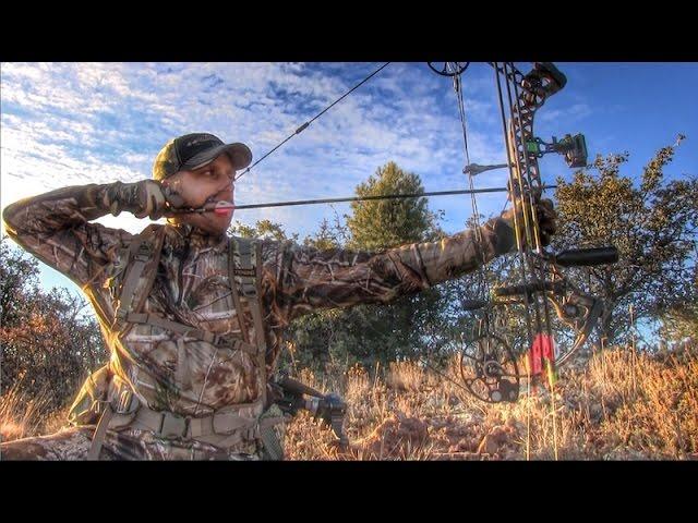 Improve your archery skills shoot under pressure