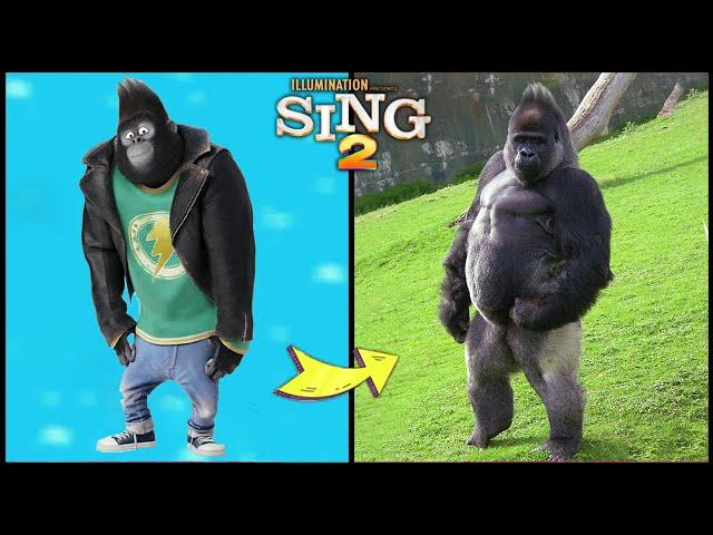 Sing 2 Characters In Real Life And Other Favorites!