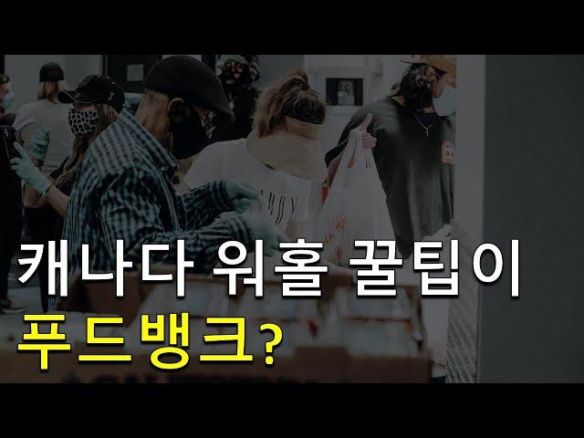 캐나다 워홀 꿀팁이 푸드뱅크?