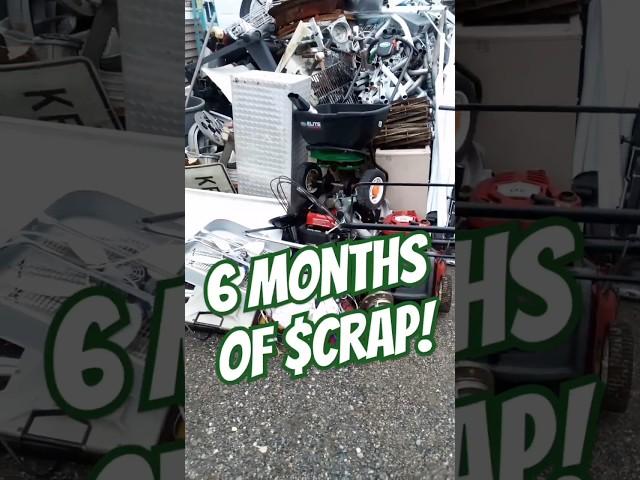 How Much $$$ For All This Scrap Metal? #streetscrapping #dumpsterdiving #scrapmetal #scrap #shorts