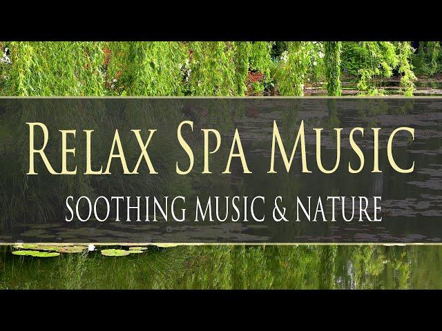 Relax Spa Music - Music for Yoga, Meditation, Massage, Reiki, Study, Sleep