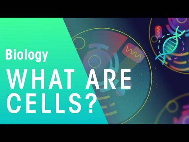 What are cells | Cells | Biology | FuseSchool