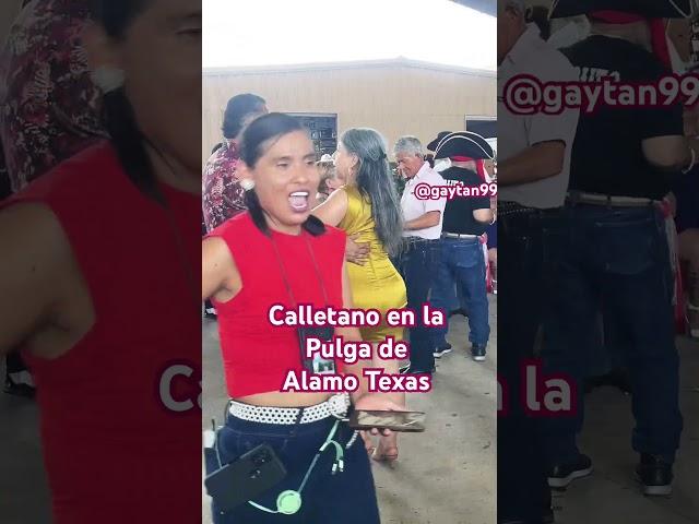 Pulga de Alamo Texas #dance #pulgadealamo #humor #follow #dancing #youtubeshorts #shorts #shiv #like