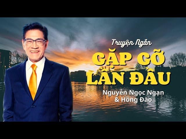 Truyện ngắn hay nhất cảu nhà văn Mc Nguyễn Ngọc Ngạn & Ái Vân | Gặp Gỡ Lần Đầu | Audio Book PBN