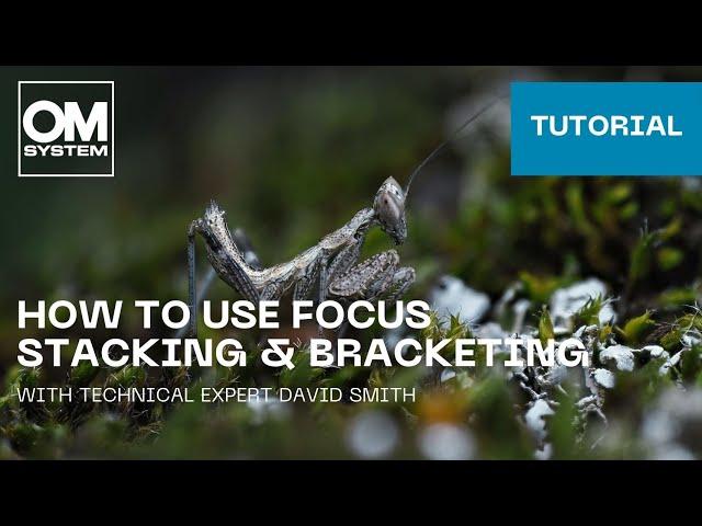 Tutorial: How to use Focus Stacking & Bracketing on the OM SYSTEM cameras