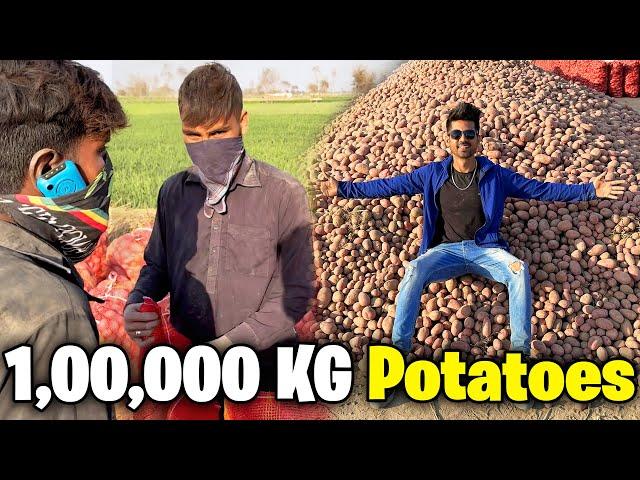 Underground Potatoes Farming  | Allu Sy Pura Ground Full Ho Gia 