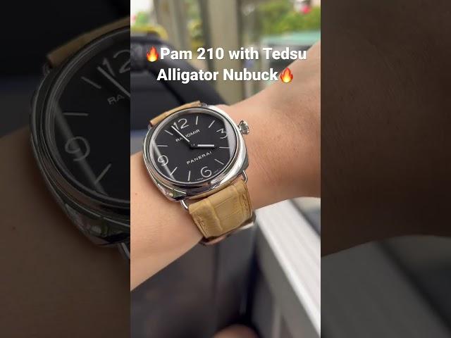 Pam 210 with Tedsu Nubuck #rolex #patekphilippe #panerai #sg #exotic #iwcwatches #shorts #watches