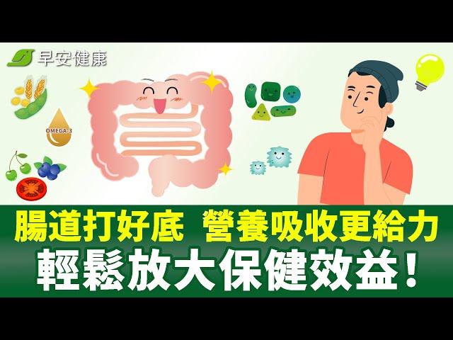 腸道打好底，營養吸收更給力，輕鬆放大保健效益！【早安健康】