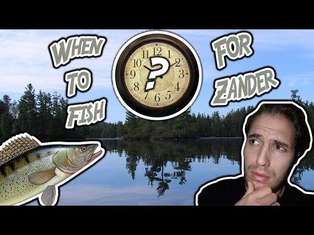 Best Times to Catch Zander