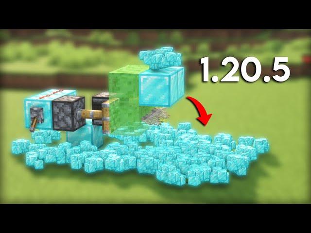 ALL WORKING DUPLICATION GLITCHES in Minecraft 1.20.5