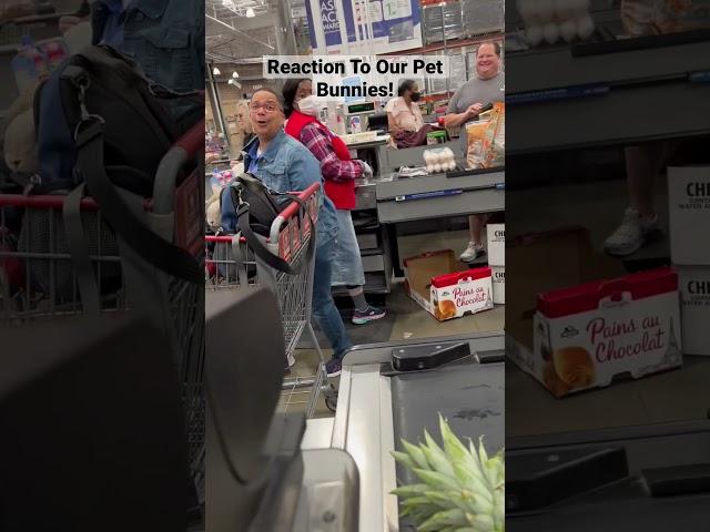 Pet Rabbits Running Errands #bunny #rabbit #bunnylife #rabbitlifestyle #rabbitpals