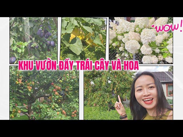 CUỘC SỐNG BÌNH YÊN VỚI KHU VƯỜN ĐẦY TRÁI CÂY VÀ HOA CỦA NGƯỜI ĐỨC | Cuộc Sống Ở Đức