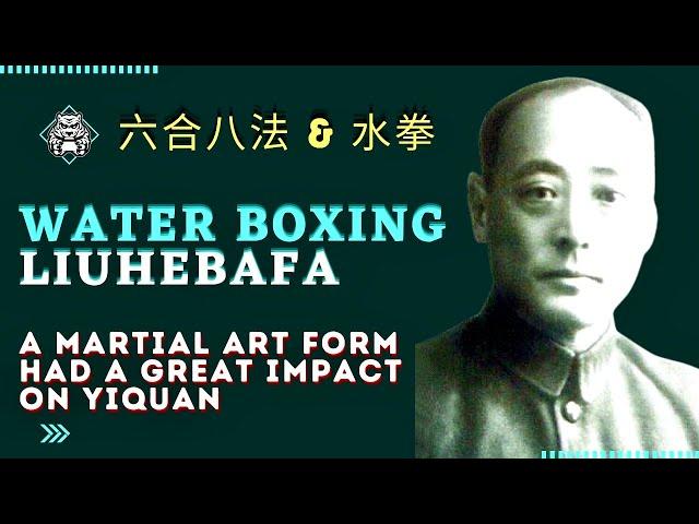 Liuhebafa, A Martial Art Form Had a Great Influence on Yiquan 1 #liuhebafa #wuyihui #yiquan