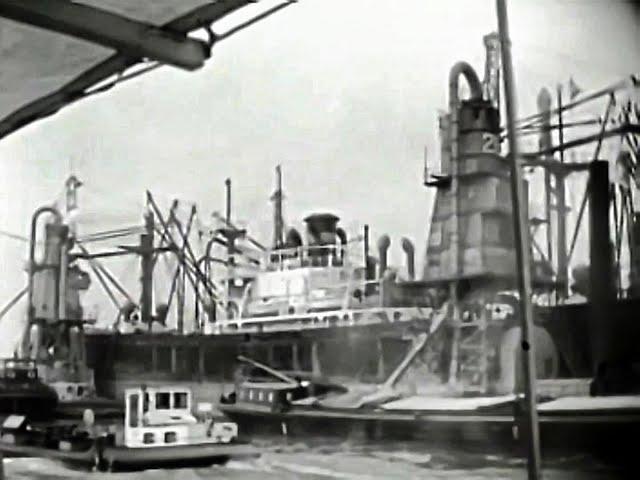 1950 De Rotterdamse haven geheel hersteld