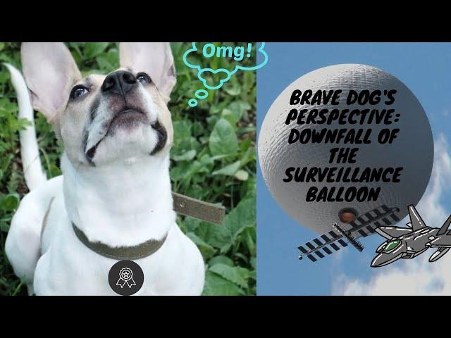 Brave Dog's Perspective: Downfall of the Surveillance Balloon | Untold History Unleashed