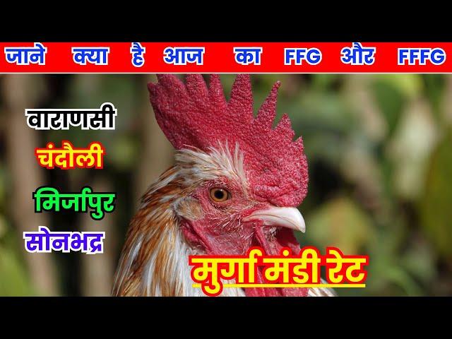 आज का मुर्गा मंडी रेट (2FG & 3FG मुर्गा मंडी रेट) Murga mandi rate aaj ka #poultryratetoday