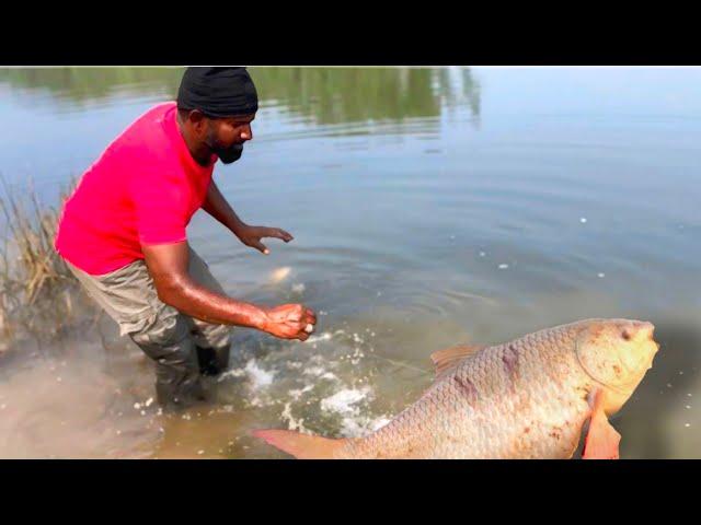 Fishing catching videos | fish videos | botel Fishing Techniques | river fish catching techniques