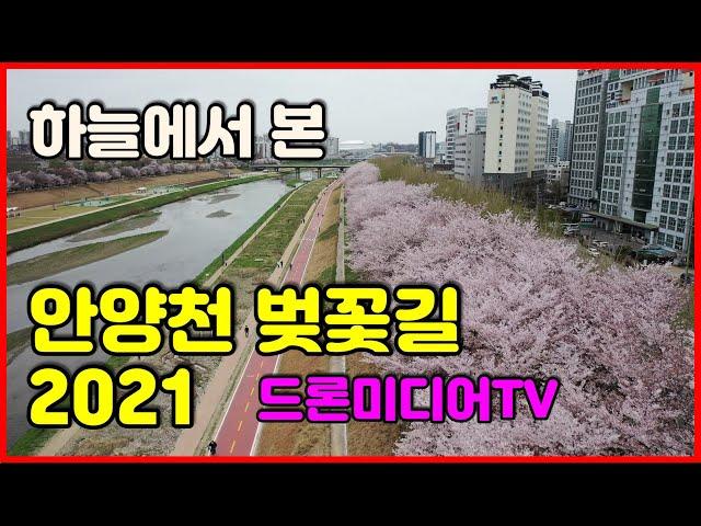 하늘에서본 안양천 벚꽃길 2021, 4k , 사진가조성욱의 드론미디어TV