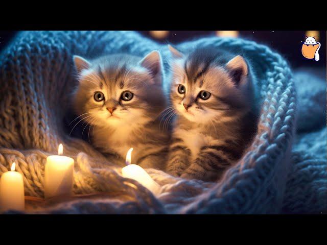 HOURS of Relaxing Music for Cats - Soothing Music | Sleepy Cat