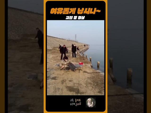 고전짤 - 낚시나 여유롭게 해볼....
