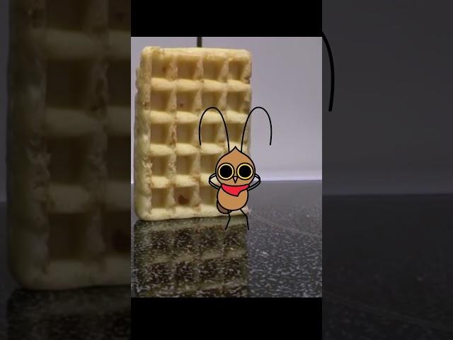Why you should share a waffle