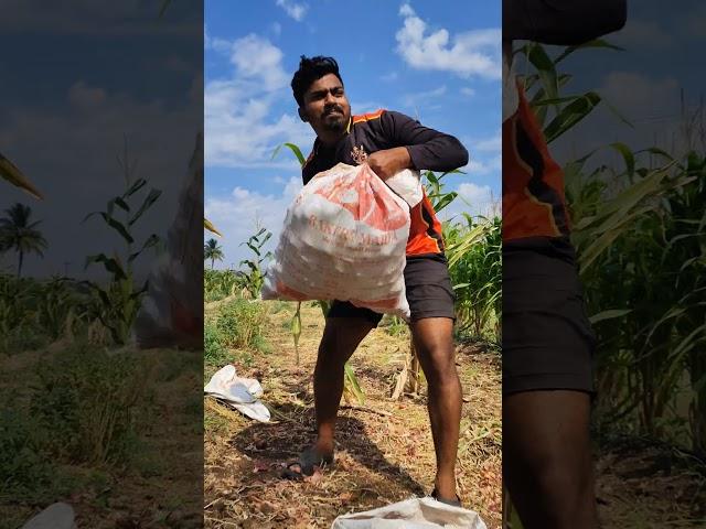 #shorts Kubota With The New Trend. //Krushi Mitra Vishal //