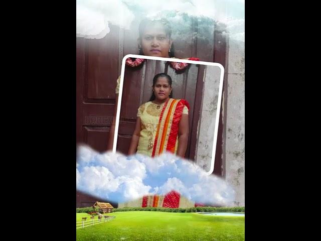 22 November 2022