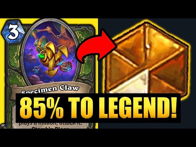 🫛85% WINRATE TO LEGEND | My "Newest" Hunter Creation IS A MONSTER!