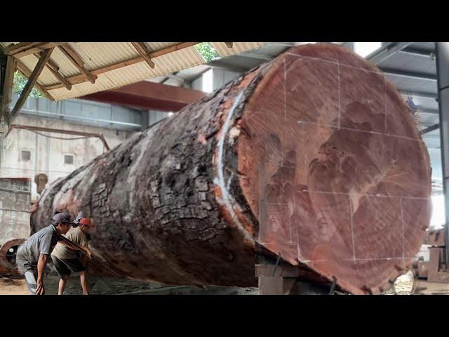 The most expensive and largest wood in the world! Price 3 billion Antique wood from madiun sawmill