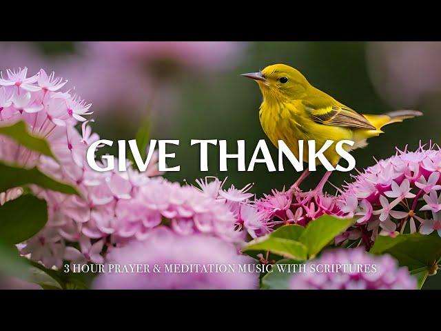 GIVE THANKS | Worship & Instrumental Music With Scriptures | Christian Harmonies