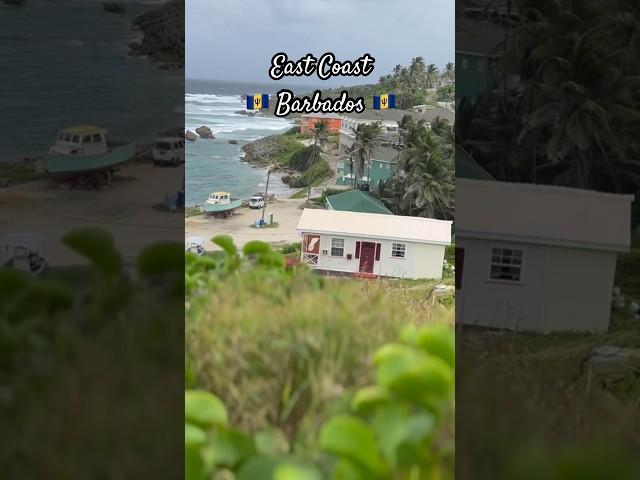 Majestic East Coast #barbados #eastcoast #travel #caribbean #bathsheba #beach #beachtown