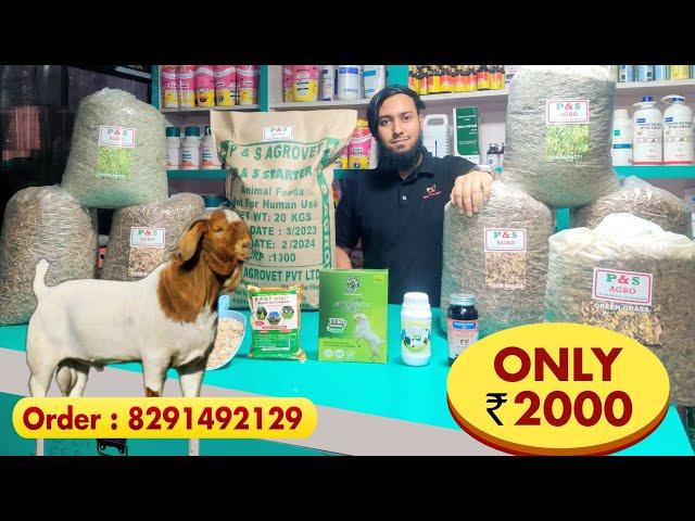 2000 me Bakre ki Full month ki Weight Gaining Diet  | P&S Agro