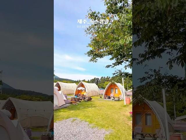 제주도 감성캠핑&글램핑을 즐길 수 있는 룩스캠핑