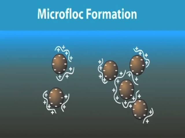 The Flocculation Process