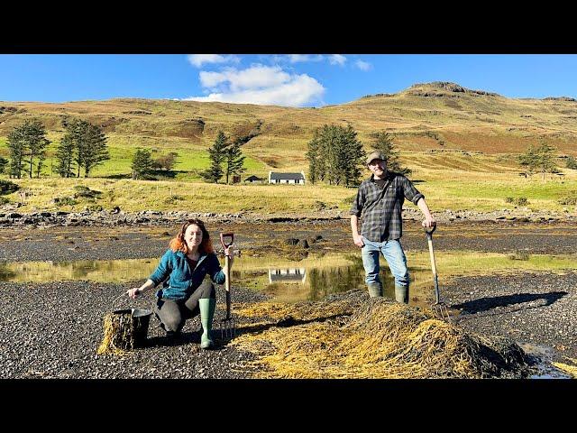 Kitchen Reno DIY & Foraging The Seashore Outside Our 200 Year Old Cottage On The Isle Of Skye - Ep92