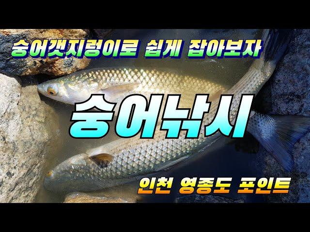 숭어낚시 인천 영종도 숭어포인트 원투낚시 왕산교 북측 방조제 mullet fishing