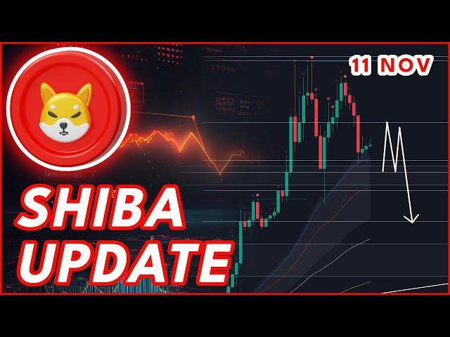 WILL SHIB PUMP AGAIN? | SHIBA INU COIN PRICE PREDICTION & NEWS 2024!