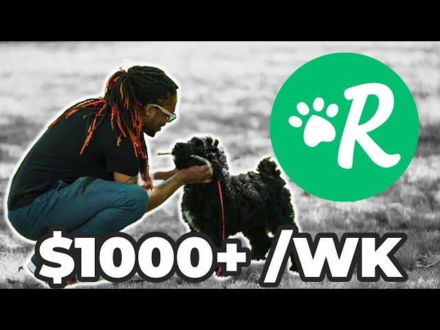 How I Make Over $1000 A Week On Rover Dog Walking/Sitter App