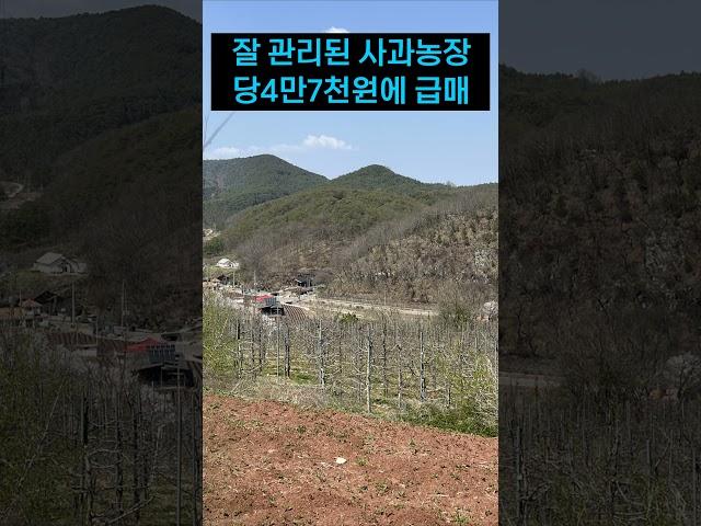경북땅 시골땅, 실속 있고 싼 가격은 덤~#급매물 #귀농 #귀촌