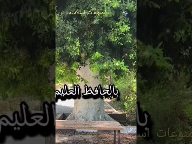 من اذكار الصباح/منوعات اسلامية