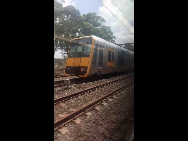 Racing between two Trains in Sydney