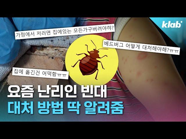 소문만 무성한 빈대… 방역 전문가에게 팩트체크 해 봄! ｜크랩