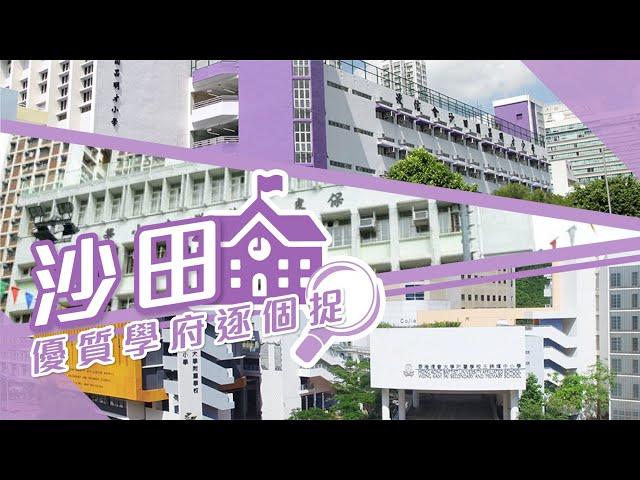 【沙田搵樓】帝堡城．花園城．田園閣．優質學府逐個捉